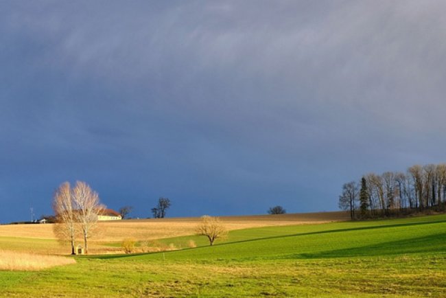 건물 정보용 테이블 예제 샘플