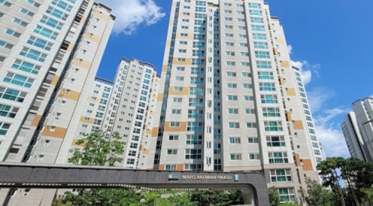 강남구 서초동 OO동 OO빌딩