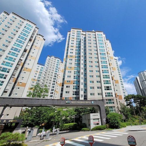 강남구 서초동 OO동 OO빌딩