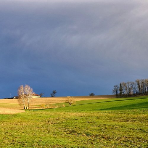 건물 정보용 테이블 예제 샘플